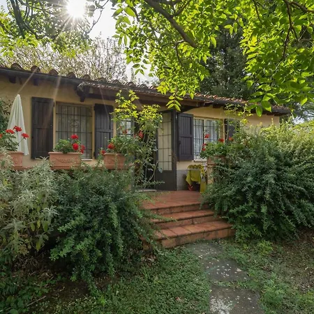 La Piccola Selva Casole dʼElsa