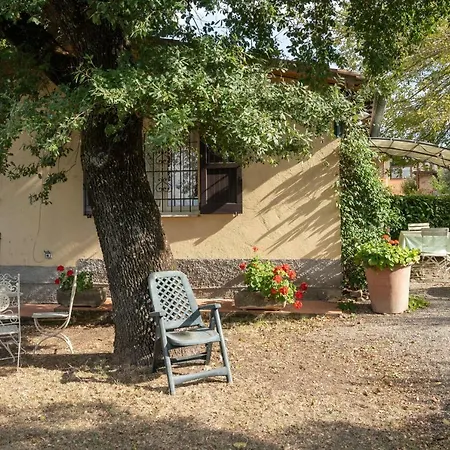 La Piccola Selva * Casole dʼElsa